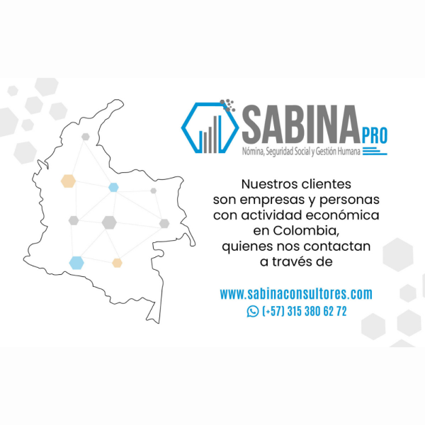 SABINA CONSULTORES SAS