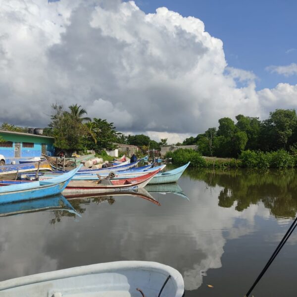 Cooperativa de Pescadores de Santa Ana