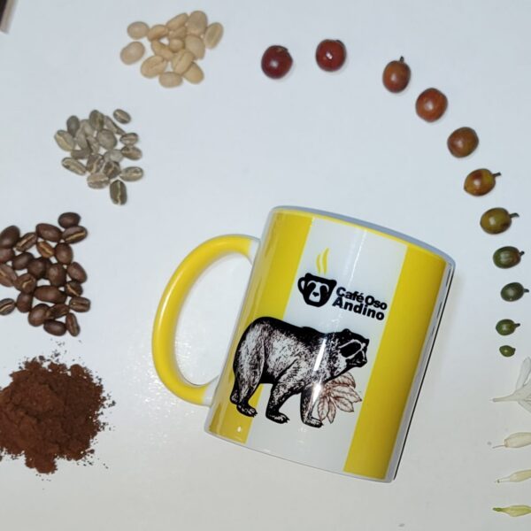 Productos de Exportación Guardianes del Oso Andino.